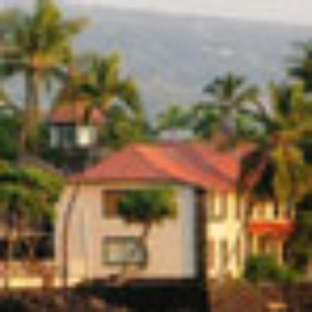 Orange Leaf Frozen Yogurt